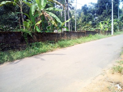 53 Cent Residential land for sale near State highway Pazhemadam, Muttuchira, Kottayam