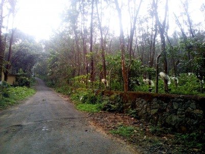 40 Acre Residential land for sale Kalaketty, Kanjirapally, Kottayam