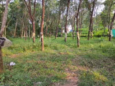 50 Cents of  Main Road Frontage Land for sale Near Malayatoor - Kodanad bridge, Ernakulam