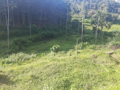 7.5 Acres of Plain Land for Sale at Marady, Muvattupuzha