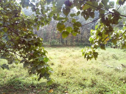 2 Acre Residential land for sale near Kanjikuzhy junction, Kottayam