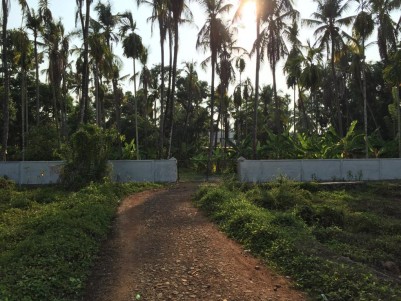 57 Cents of Residential land for sale in Kodakara, Thrissur