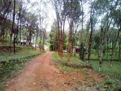 7 Acre Residential Land for sale Mattakkara, Ayarkkunnam, Kottayam