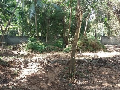 20 Cent Residential Land for Sale at Menamkulam, Trivandrum