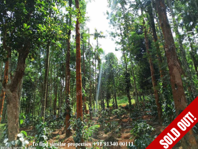 2.59 Acre Farm Land for Sale in Mananthavady, Wayanad - 35,000/Cent