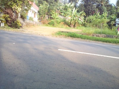 9 Cent MC road frontage Commercial land for sale  at Pattithanam, Eattumanoor.