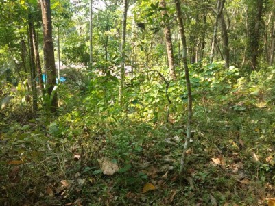 10 Cent Residential plot for sale at Rayarom, Kannur