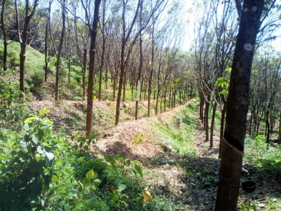 4.5 Acre Rubber plantation for sale near Mary Queen Hospital Kanjirappally, Kottayam
