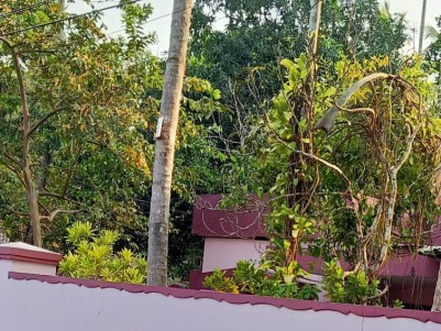 3 BHK House in 12.5 Cents for sale at Kozhikode