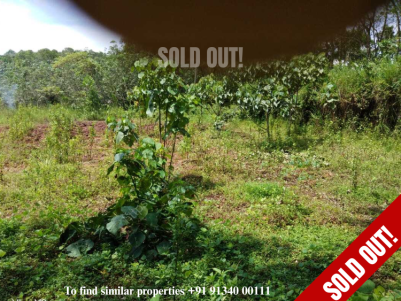 25 Cents Residential land for sale at Mundiyapally Kaviyoor, Pathanamthitta