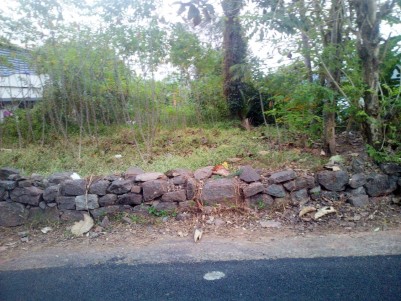 14 Cent Residential land for sale at Manganam, Kottayam