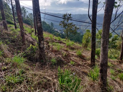 23 Cents Land near Chinnakkanal with Amazing view for Sale