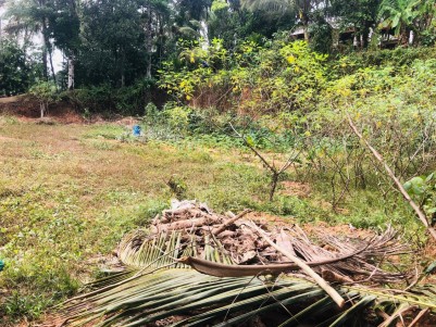 VILLA LAND FOR SALE IN WAYANAD