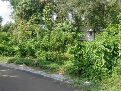 17 Cent square plot for sale near Aluva town, Ernakulam