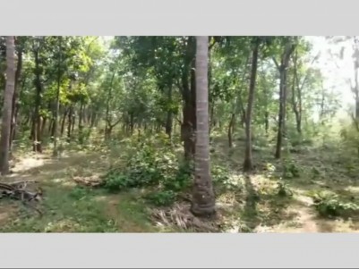 22 Acre Rubber plantation for sale at Vadakencherry, Palakkad