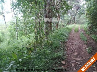 1.15 Acre Land for sale at Kuthupara near Munnar