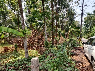 12 Cents of Commercial/Residential Land for sale at Kollappilly, Pala, Kottayam