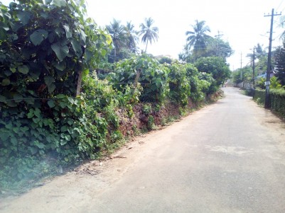 2.43 Acres Residential land for sale near Skyline villa Kanjikuzhy, Kottayam