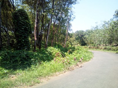 10.5 Acre Residential land for sale near Anakkallu, Kanjirappally, Kottayam