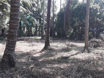 Prime Residential land for sale in Thalassery, Kannur 