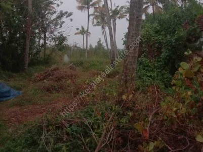 Prime Water Frontage Land For Sale at Panavally, Alappuzha