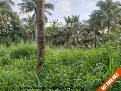 Commercial/Residential Land for sale in NH47 Nadathara, Thrissur