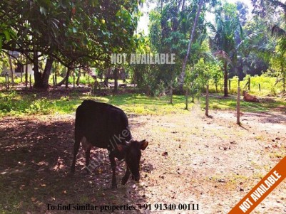 12 Cents of Square plot for sale Near Chingoli (Krishnendhu) Ayurvedha Hospital, Alappuzha