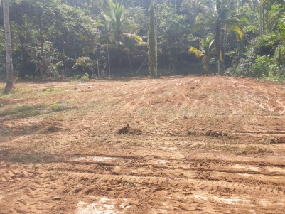 39 Cents of Commercial Land for sale at Moolankaavu, Sultan Bathery, Wayanad