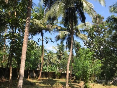 Prime Residential Land for Sale at Palappuram, Near Ottapalam, Palakkad
