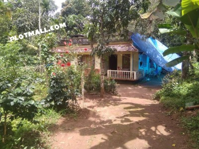 House Plot For Sale In Anachal,Thukupara,Idukki