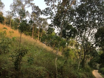Private Land for Sale at Kavumannam, Wayanad