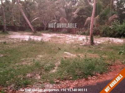 20 Cents of Original Land for Sale at East Side of NH 66, Thiruvizha, Alappuzha