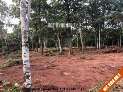 1 Acres ( approx) of Prime Residential Land for Sale at Kizhuthani, Thrissur