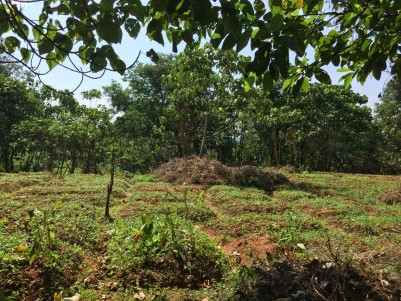 Agricultural Land for Sale at Varandarappilly, Thrissur 