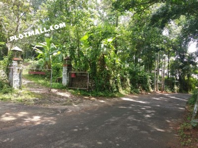 Residential land for sale at Puthupally, Payyappady, Kottayam