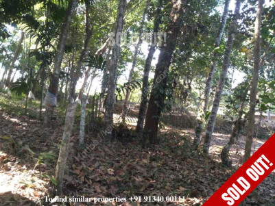50 Cents of Land for Sale at Chakalamukh, Koduman, Pathanamthitta 