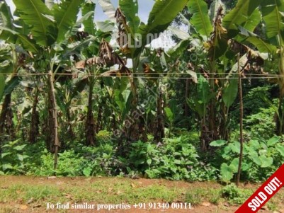 52 Cents of Residential Land for Sale at Puthuppally, Kottayam