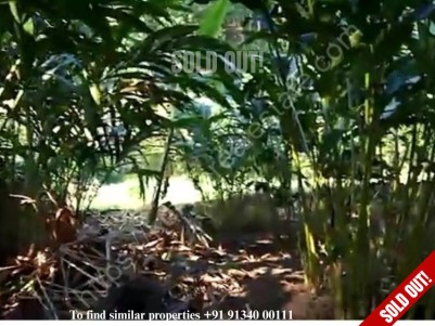 Residential Land For Sale at Vandiperiyar, Idukki