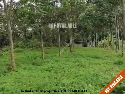 5 Acres of Prime Residential Land suitable for Villa Project for Sale at Thodupuzha, Idukki