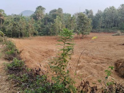 1.11 Acres of Residential Land for Sale at Cherpulassery, Palakkad