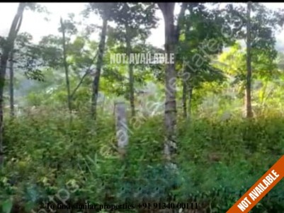 Residential Plots for Sale near Attractive Tourist Spots at Archal, Kollam