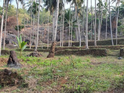 Residential  Land for Sale at Ekarool, Kozhikode