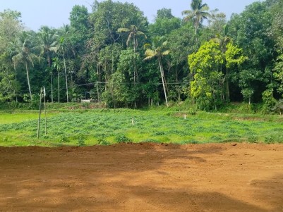 18 Cents of Land for Sale at Pattimattam, Ernakulam 