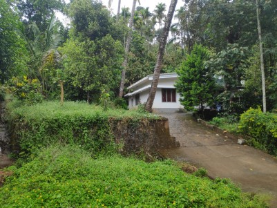 43 Cents of Land with House for Sale at  Thannikkandam, Idukki