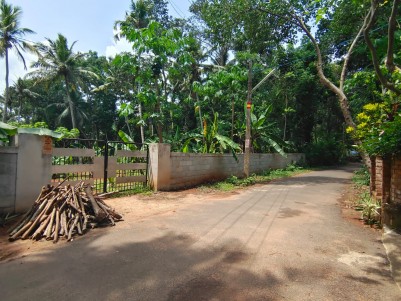 1.4 Acres of land for Sale at Athiyannur, Trivandrum