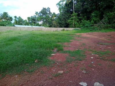 Residential Plots for Sale at  Kollamkudimugal, Kochi