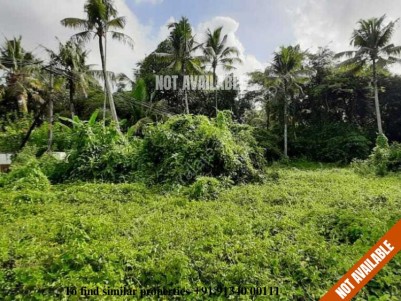 35 Cents of Rectangular Plot for Sale at Irinjalakuda, Thrissur