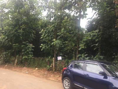 50 Cents of Residential Land for Sale at Nemmara, Palakkad
