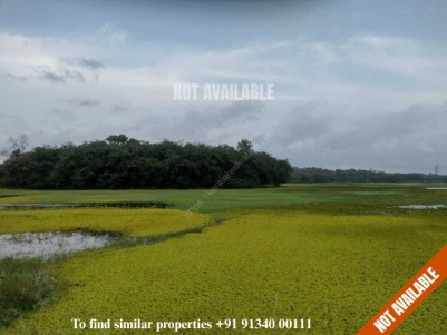6 Acres of Island ( Kakkathuruth) for Sale at Piravom, Ernakulam