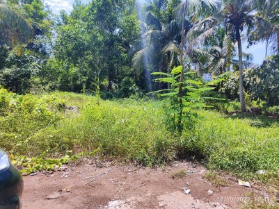 Residential Plots for Sale Near Infopark, Kakkanad, Kochi